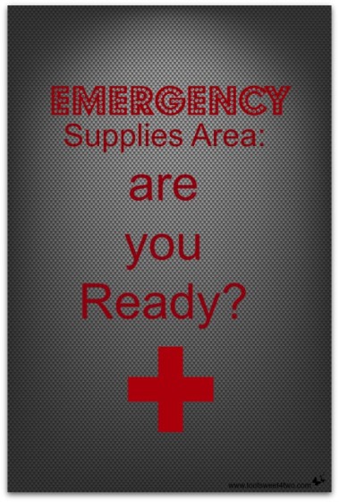 Emergency Supplies Area: are you Ready? Do you have an area designed for your emergency supplies? Get ready and follow along at www.tootsweet4two.com.