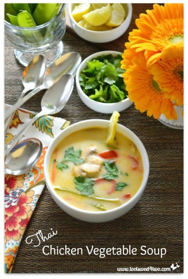 Thai Chicken Vegetable Soup - Pot O'Gold