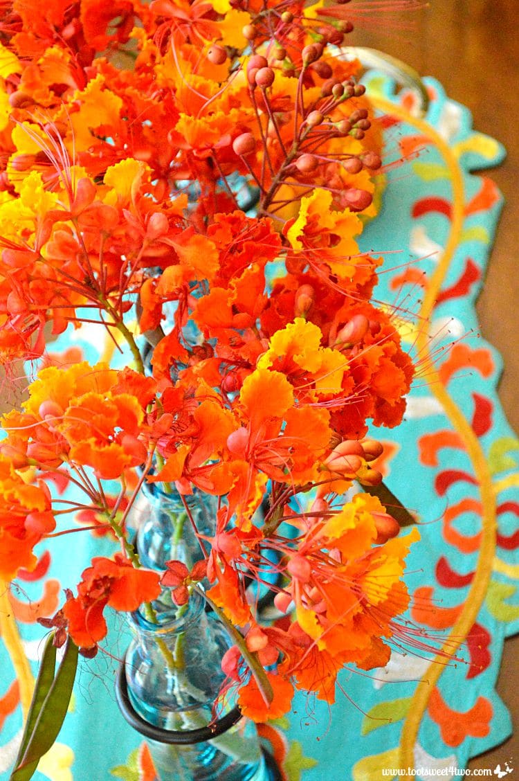 Turquoise and Orange:  Summer to Fall Decorating Hack