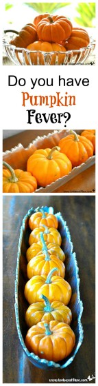 Do You Have Pumpkin Fever collage