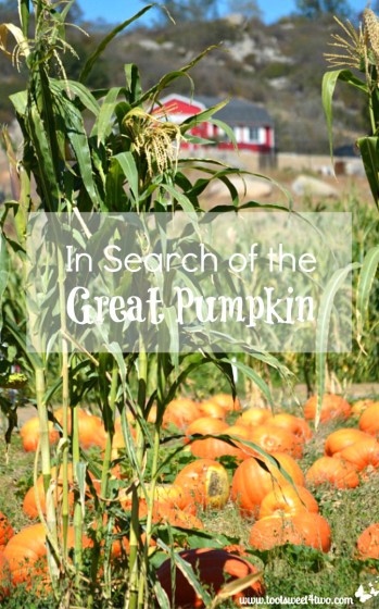 In Search of the Great Pumpkin cover for decorating hack