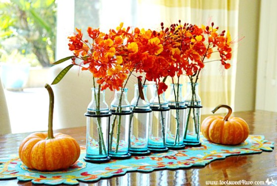 Mini pumpkins and Red Mexican Bird of Paradise flowers in turquoise vases