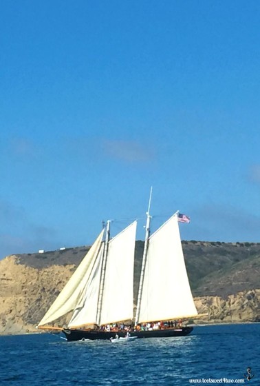 The America sailing past Pt. Loma, San Diego