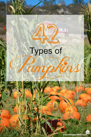 42 Types of Pumpkins cover