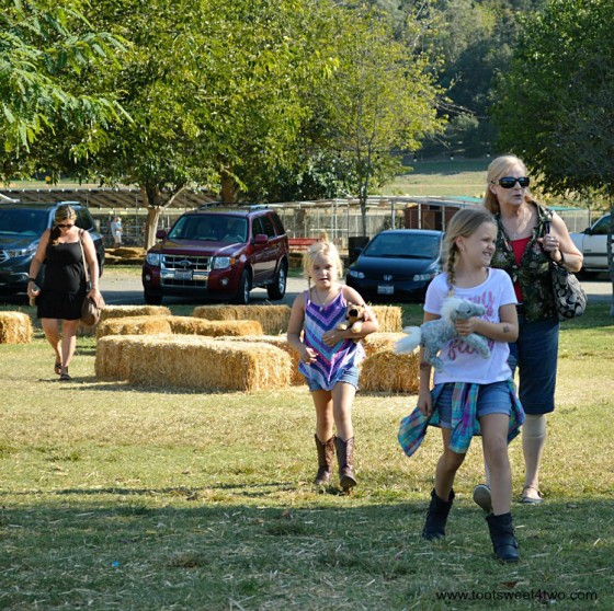 Arriving at the pumpkin patch 2015