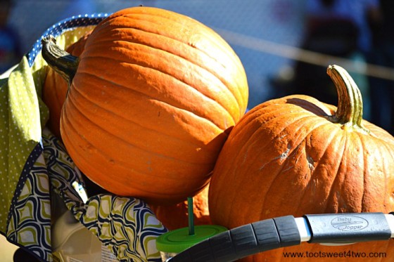 Close-up of pumpkins in a baby stroller