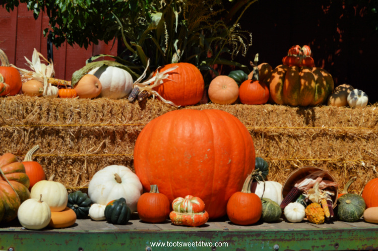 Different types of pumpkins displayed on a trailer