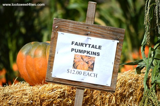 Fairytale Pumpkin sign