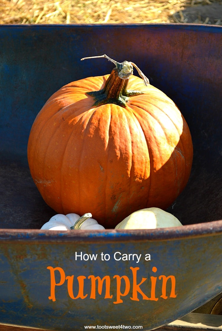 How to Carry a Pumpkin