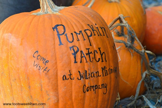 Howden Pumpkin with painted sign for Pumpkin Patch