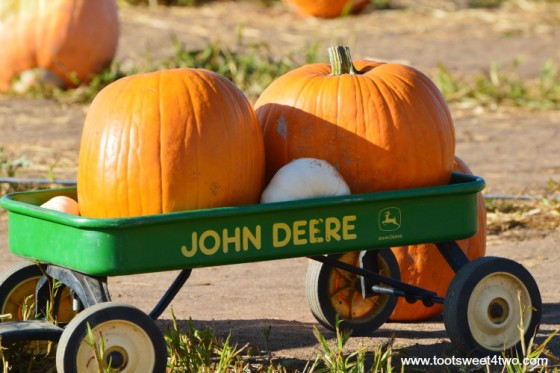 Howden Pumpkins in a John Deere wagon