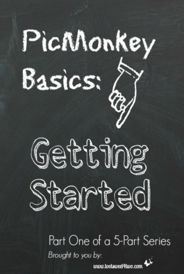 PicMonkey Basics - Getting Started 750x1118