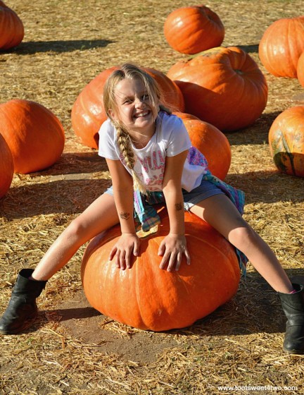 Princess P sitting on a Big Mac pumpkin 2015