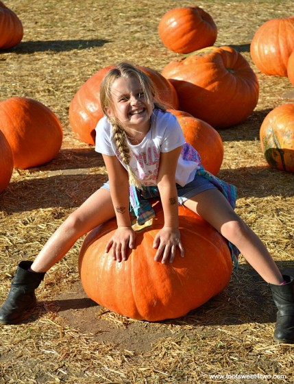 Princess P sitting on a Big Mac pumpkin at Bates Nut Farm