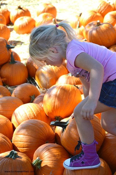 Princess Sweetie Pie choosing a pumpkin
