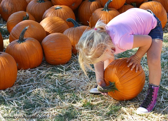 Princess Sweetie Pie grabbing the pumpkin's stem
