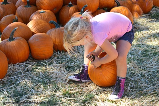 Princess Sweetie Pie grabbing the pumpkin's stem with both hands