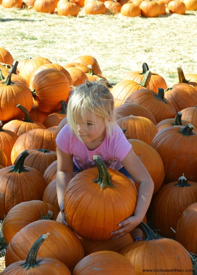 Princess Sweetie Pie lifting a pumpkin