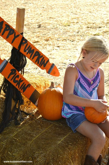 Princess Sweetie Pie sitting with pumpkins on a hay bale 2015