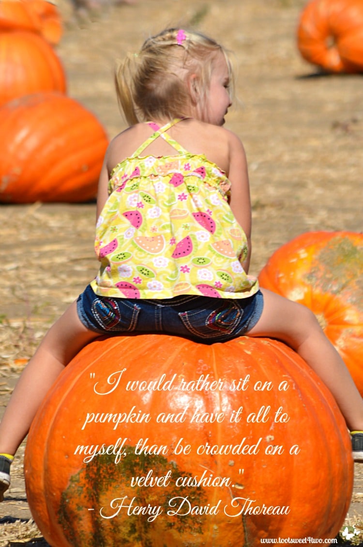 little girl sitting on a Big Mac pumpkin