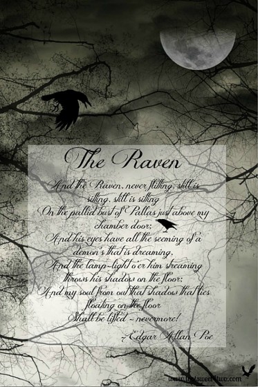 The Raven 750x1126