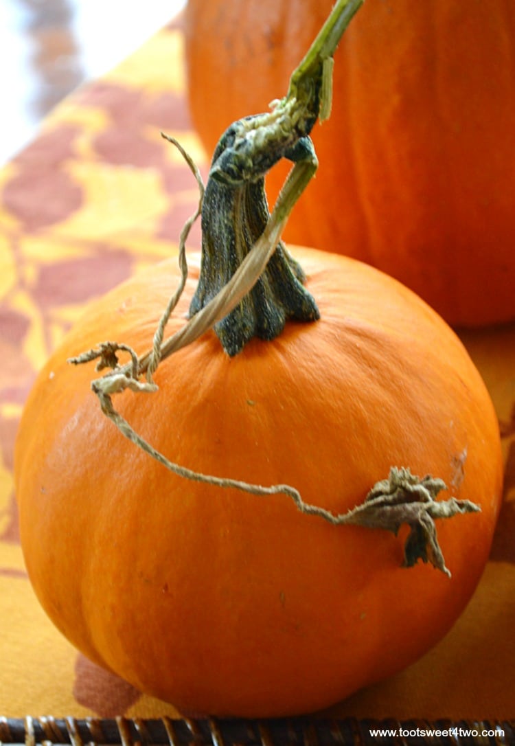 Wee Be Little Pumpkin with stem and vine