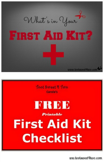 What's in Your First Aid Kit and Printable Checklist