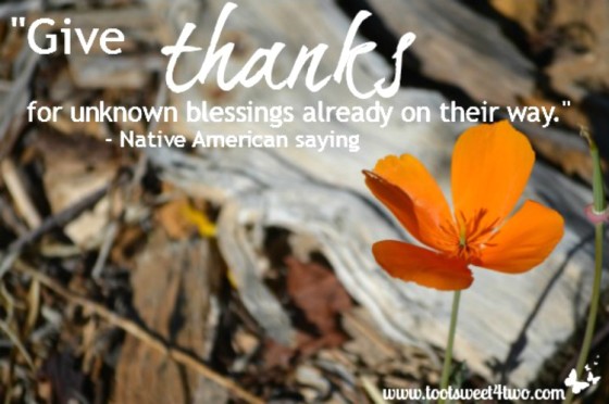 Give Thanks Native American saying quote 750x498