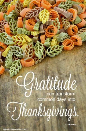 Gratitude quote cover
