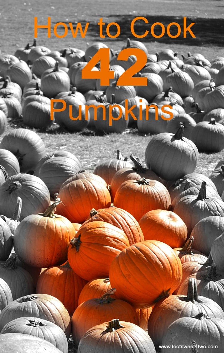 Kitchen Hacks:  How to Cook 42 Pumpkins and Keep Your Sanity