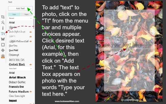 How to add text to a photo in PicMonkey instructions - 5