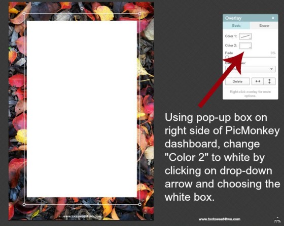 How to change color of rectangle box in PicMonkey instructions - 3