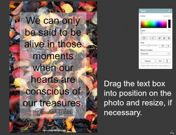 How to place text on photos in PicMonkey instructions - 10