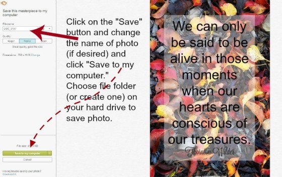 How to save a photo edited in PicMonkey instructions - 12