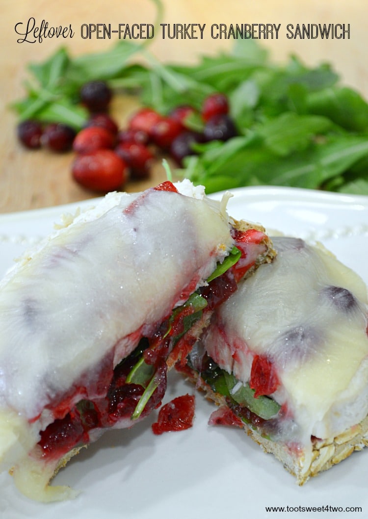 Open-faced Cheese-Topped Turkey Sandwich with a Cranberry Twist