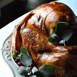 How to Roast a Picture-Perfect Holiday Turkey - succulent, delicious, moist