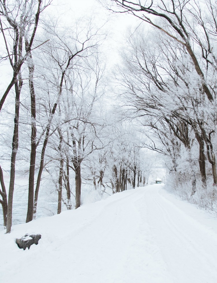 How to Keep Your Family Safe During Extreme Winter Weather {Guest Post}