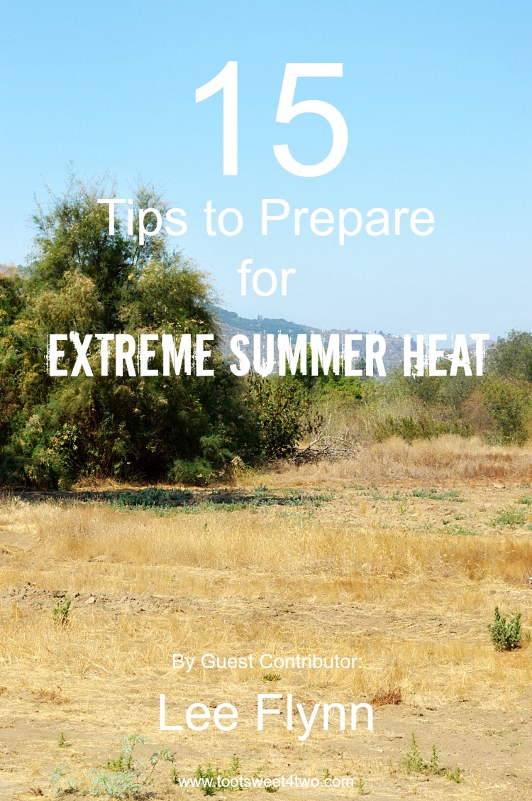 15 Tips to Prepare for Extreme Summer Heat {Guest Post}