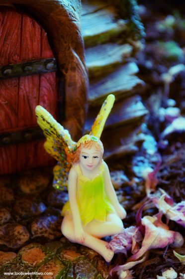 How to Create a Magical Miniature Fairy Garden - Toot Sweet 4 Two