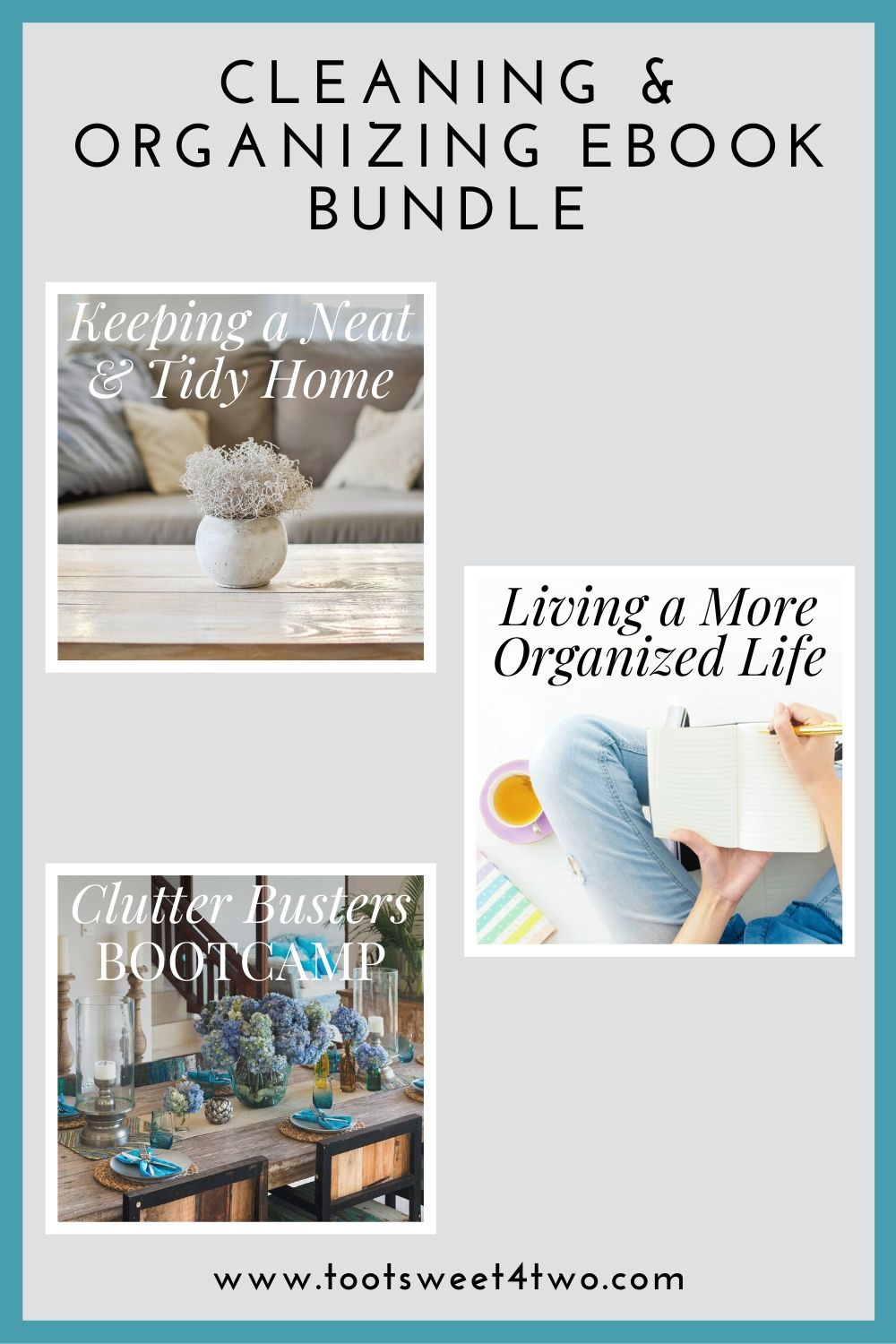 Cleaning and organizing eBook cover image