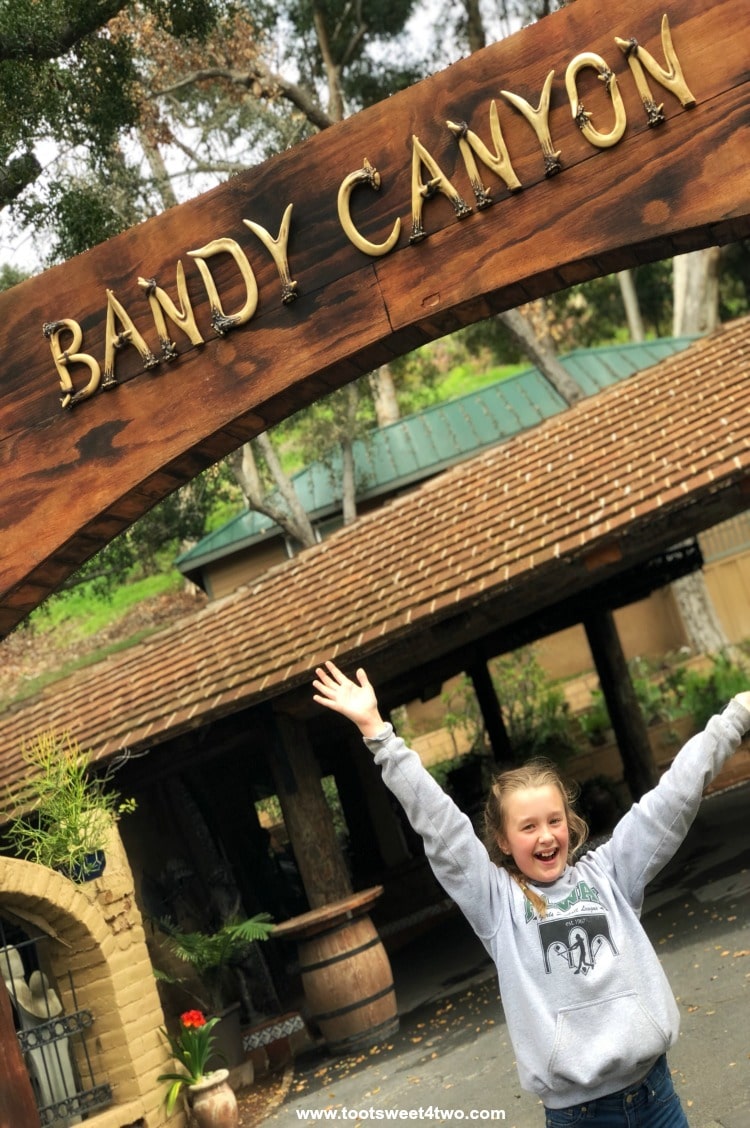 Celebrating Life at Bandy Canyon Ranch