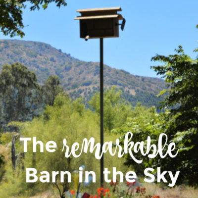 The Remarkable Barn in the Sky + 42 Types of Owls