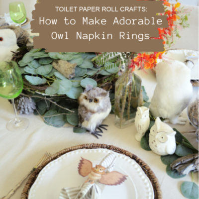 Toilet Paper Roll Crafts: How to Make Adorable Owl Napkin Rings