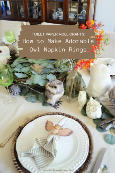 Table set with owl decor and owl napkin rings made from toilet paper rolls