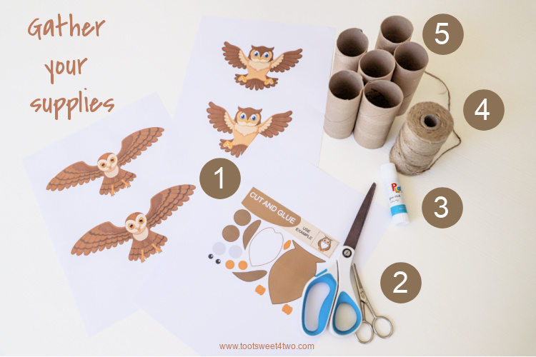 Toilet Paper Roll Crafts for Owl Napkin Rings - Step 1 - Gather Supplies