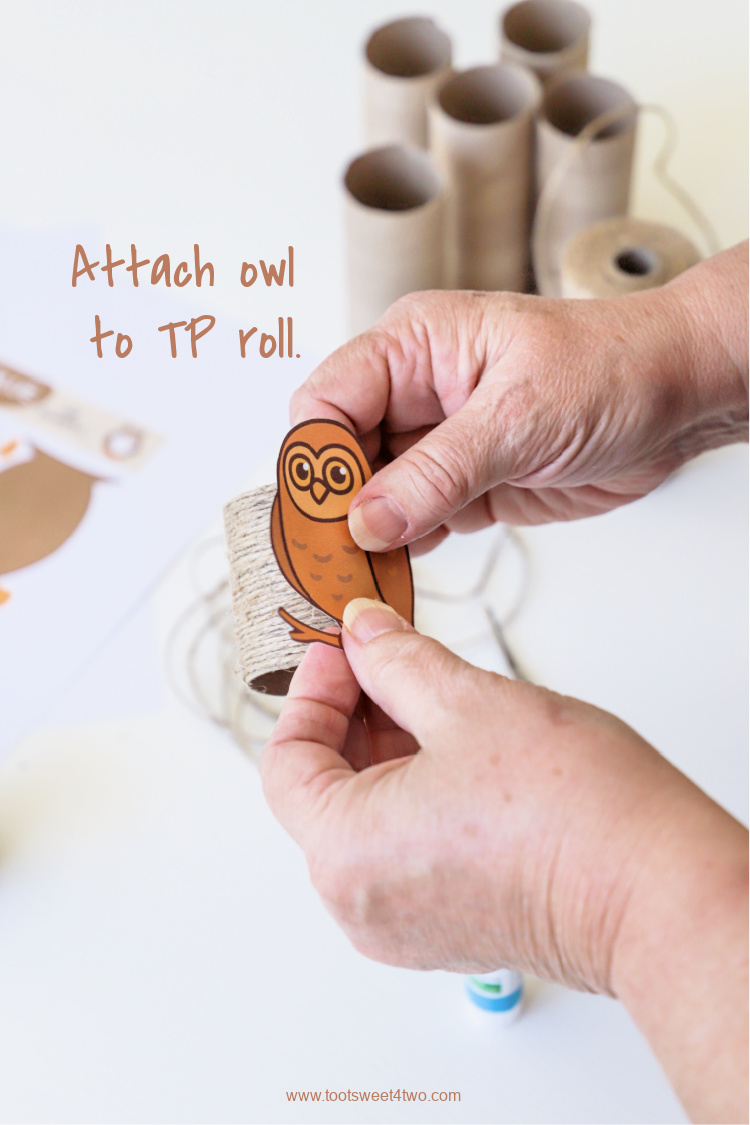 Toilet Paper Roll Crafts Owl Napkin Rings - Step 13