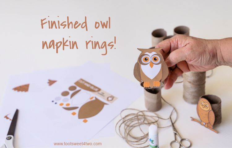 Toilet Paper Roll Crafts Owl Napkin Rings - Step 15