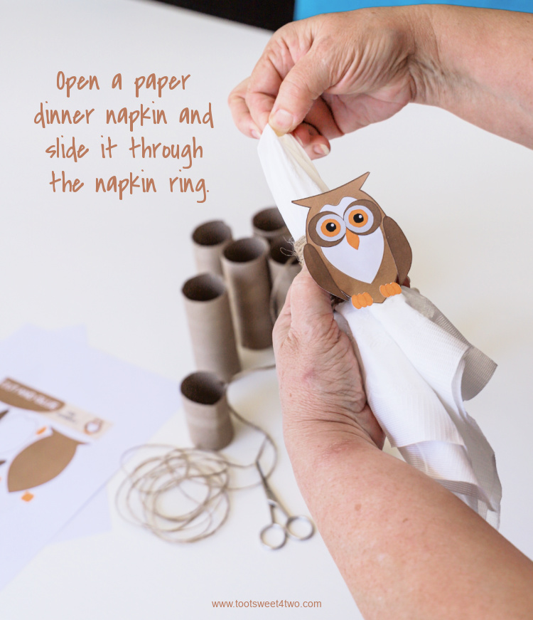 Toilet Paper Roll Crafts Owl Napkin Rings - Step 16