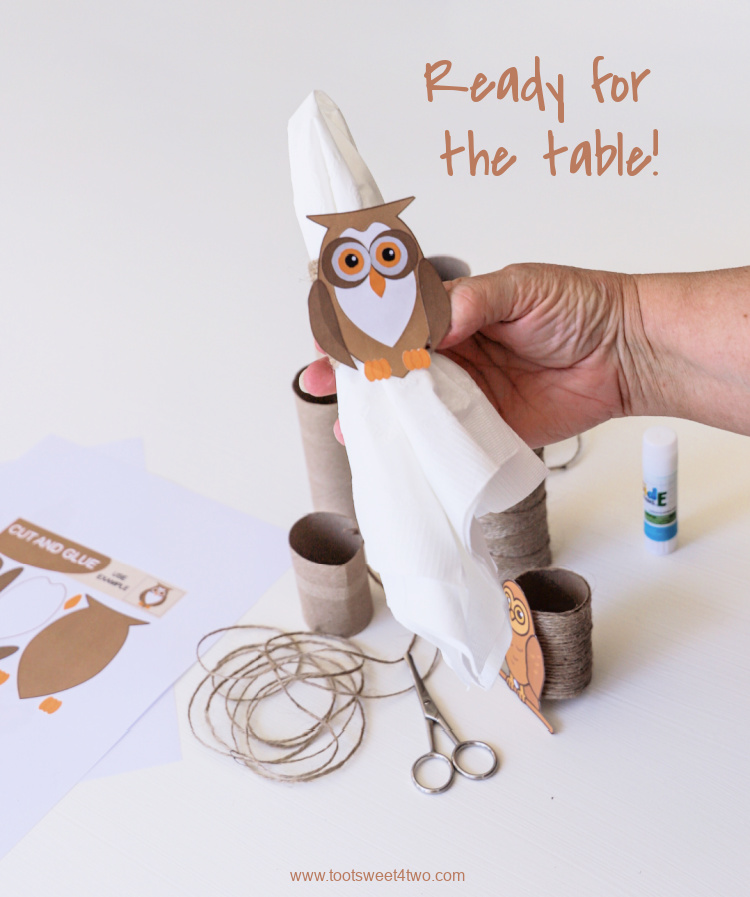 Toilet Paper Roll Crafts Owl Napkin Rings - Step 17