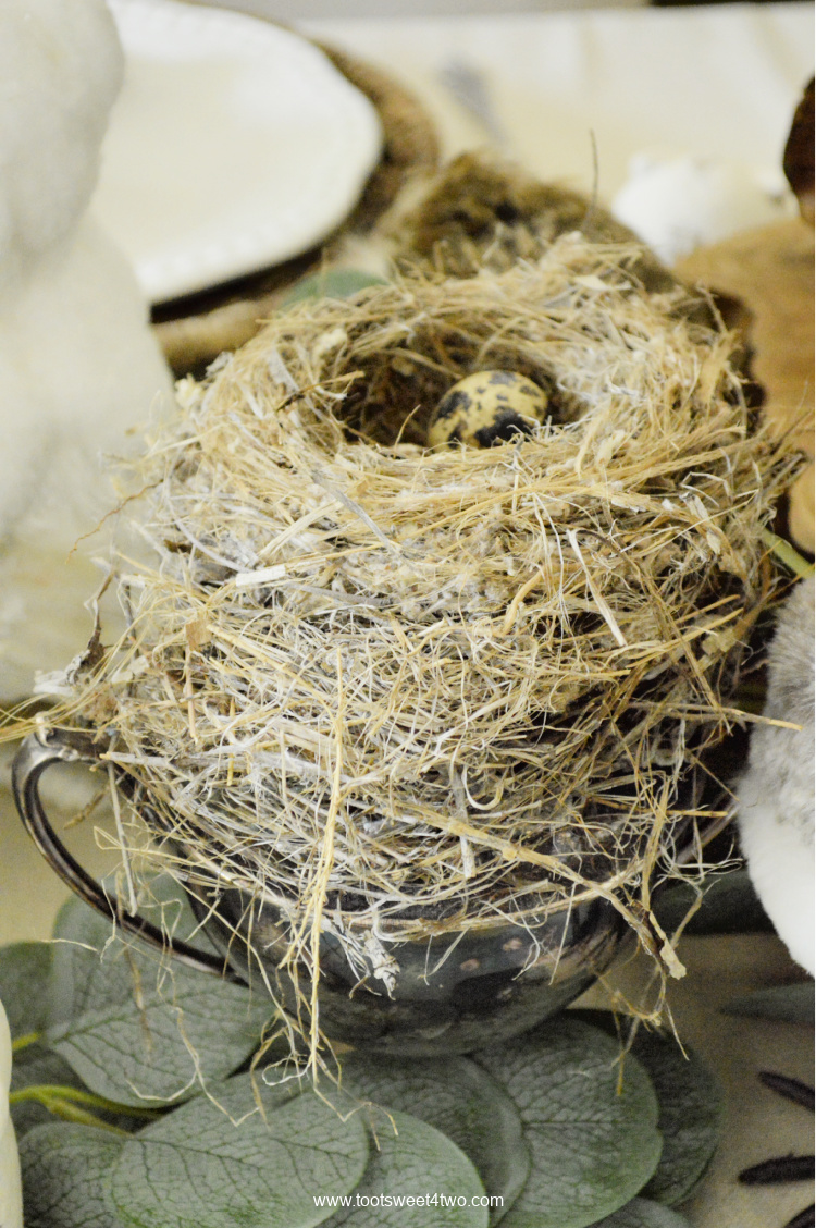 bird's nest on a tarnished silver sugar bowl